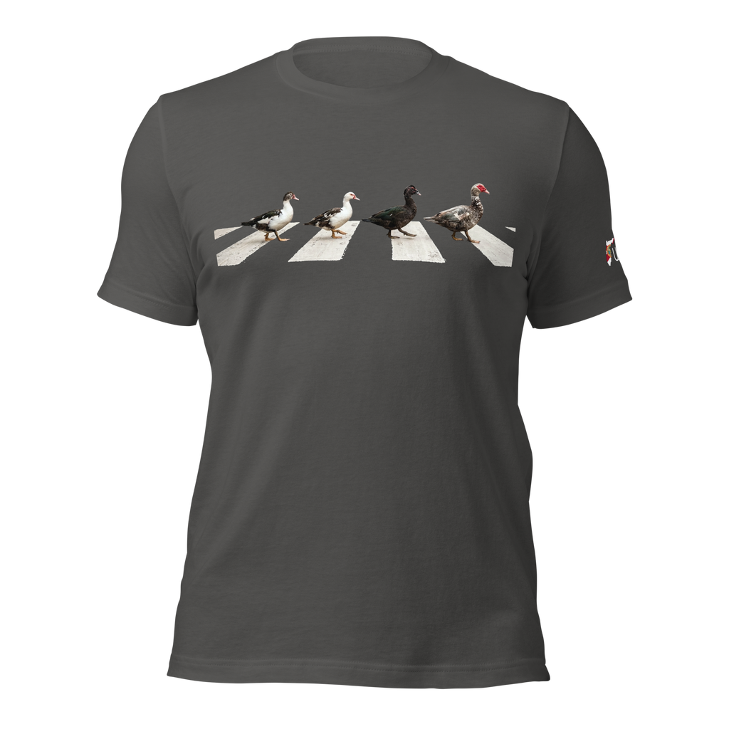 Muscovy Ducks