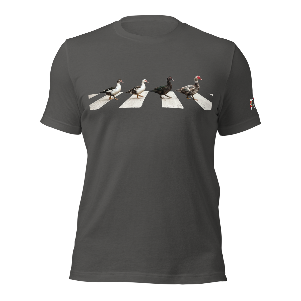 Muscovy Ducks