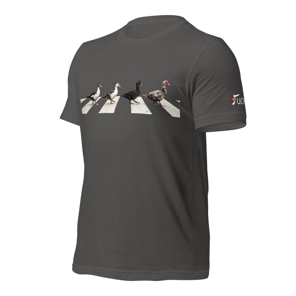 Muscovy Ducks