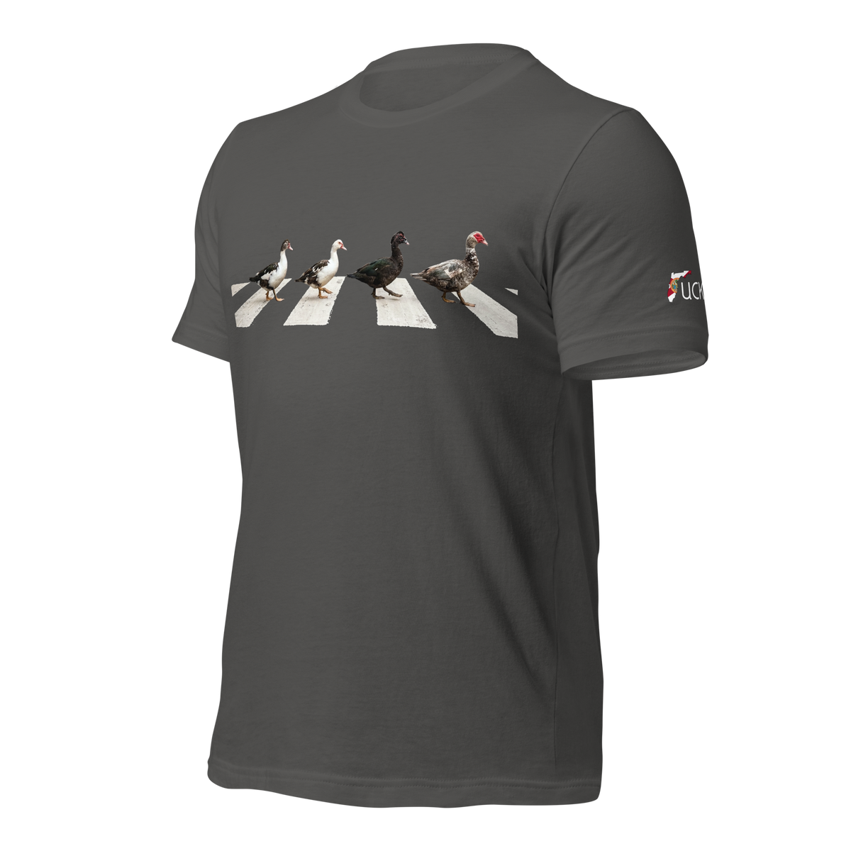 Muscovy Ducks