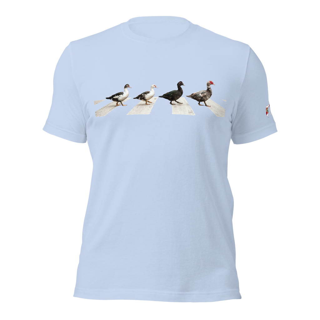 Muscovy Ducks