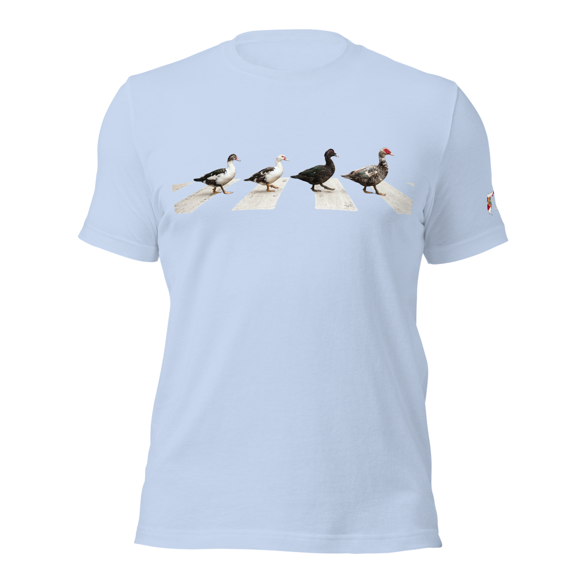 Muscovy Ducks