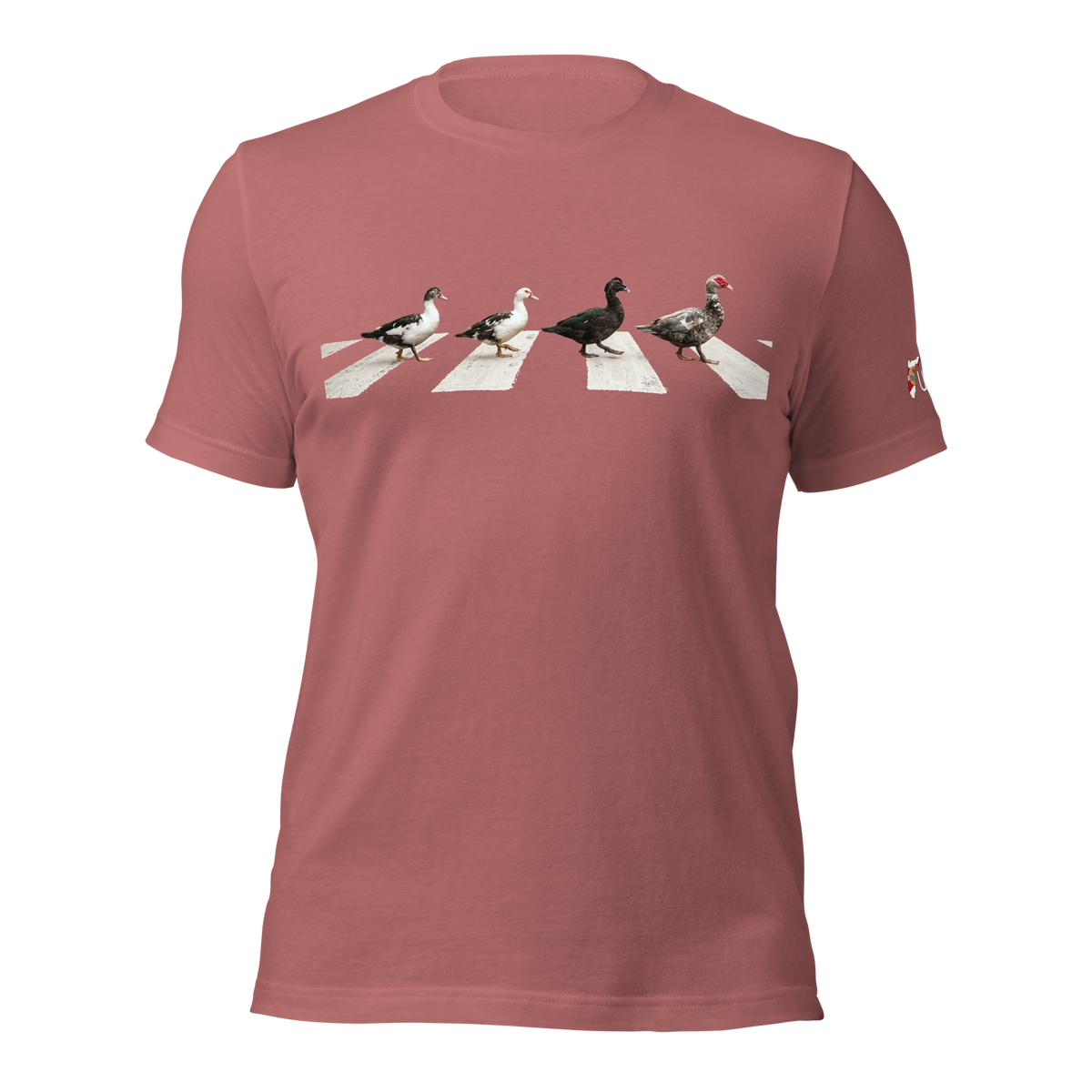 Muscovy Ducks