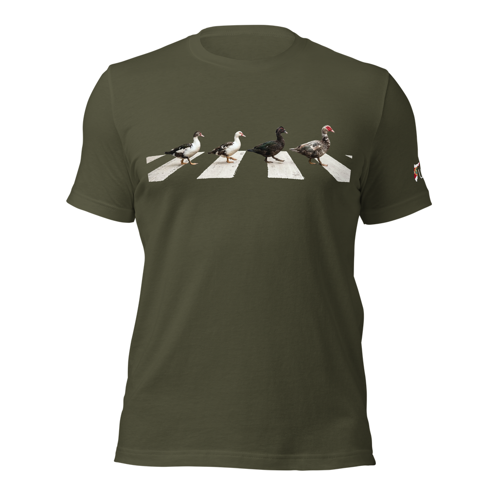 Muscovy Ducks