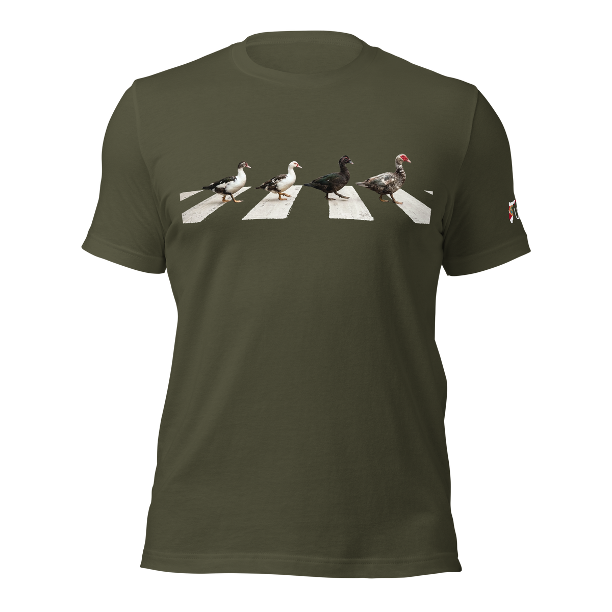 Muscovy Ducks