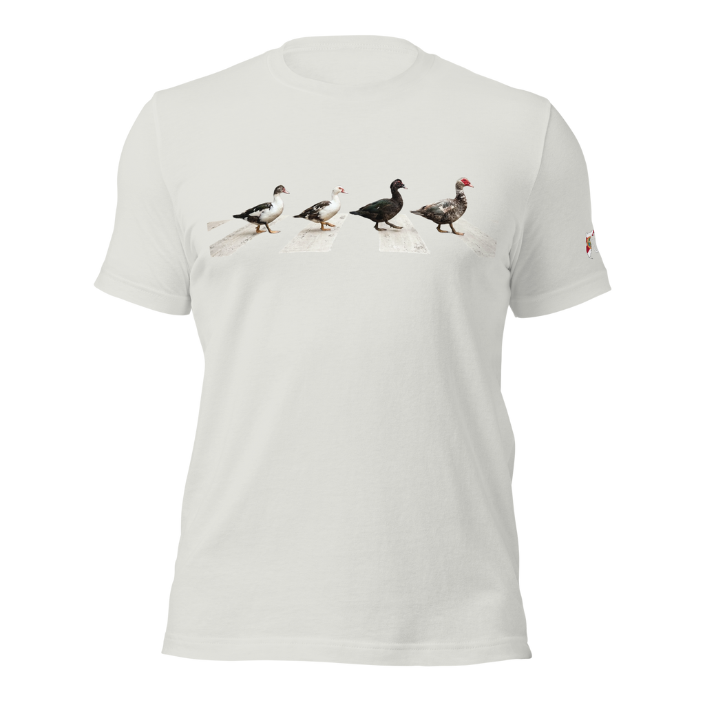 Muscovy Ducks