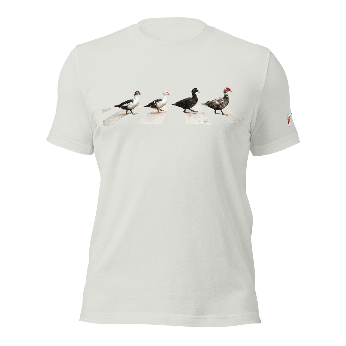Muscovy Ducks