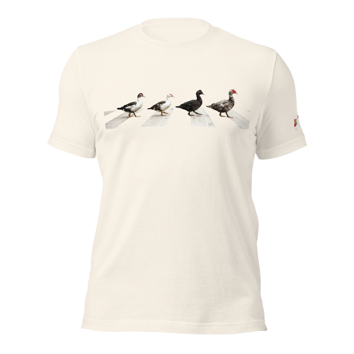 Muscovy Ducks