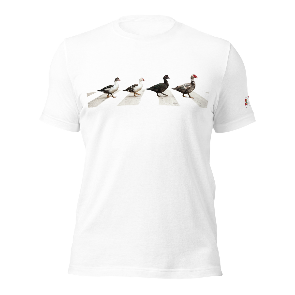 Muscovy Ducks